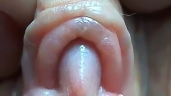Nektariaaslam'S Big Clit Gets Up Close And Personal